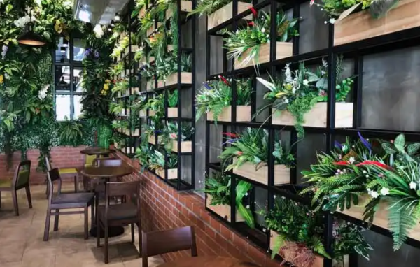 Tanaman merambat yang indah menghiasi dinding cafe